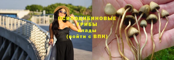 ALPHA PVP Новокубанск