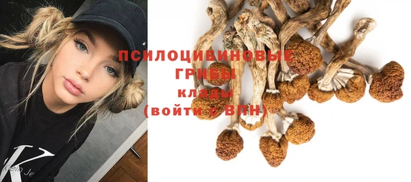 марки nbome Новодвинск
