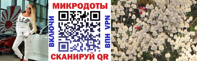 Галлюциногенные грибы мицелий МЕГА маркетплейс Касимов