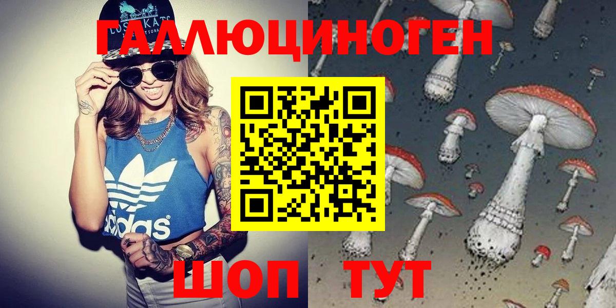 Псилоцибиновые грибы Psilocybine cubensis Касимов