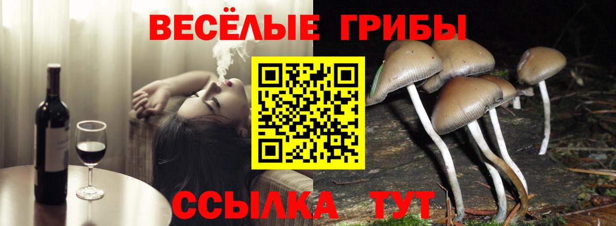 Галлюциногенные грибы Magic Shrooms Касимов