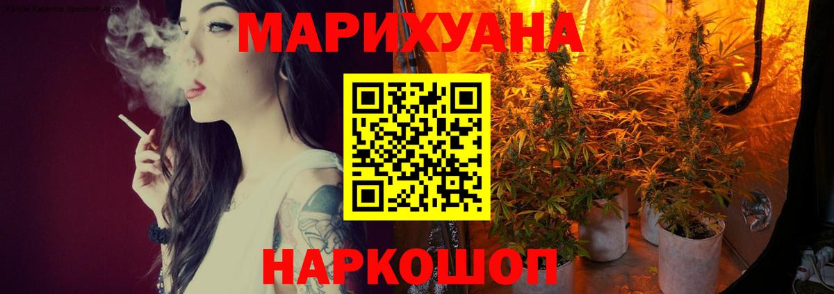Бошки марихуана сатива Касимов